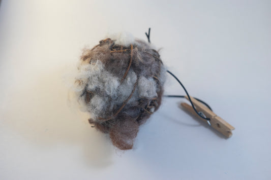 Bird Nesting Pine Cone