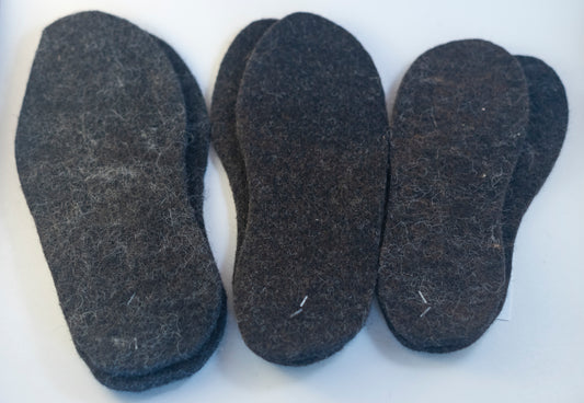 Felted Shoe Insert