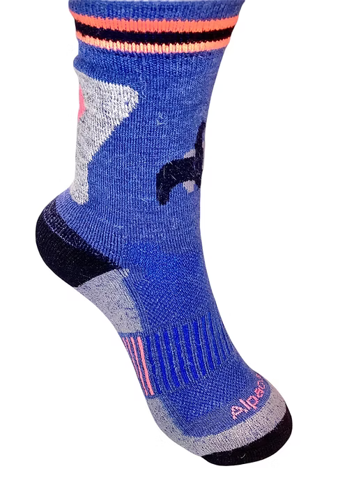 Trainer Socks