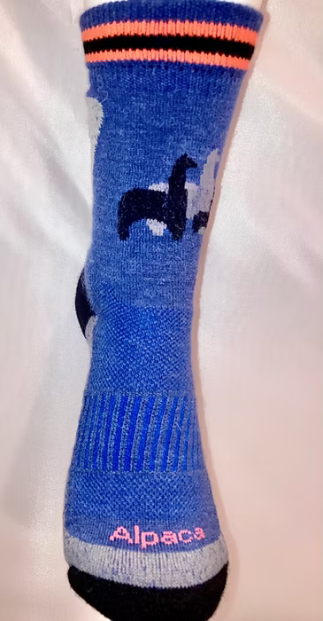 Trainer Socks