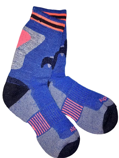 Trainer Socks