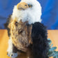 Baby Alpaca Plush Eagle