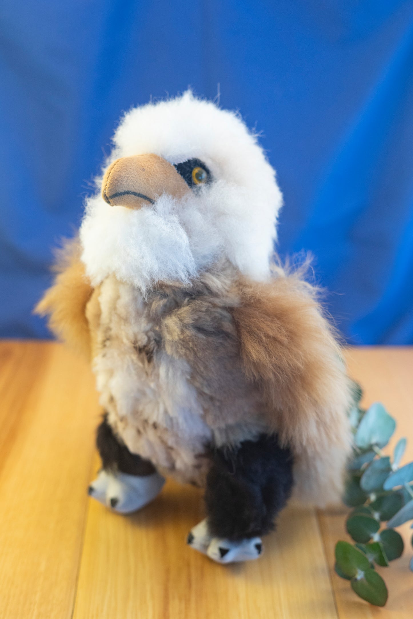 Stuffed Eagle