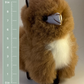 Alpaca Plush, Medium